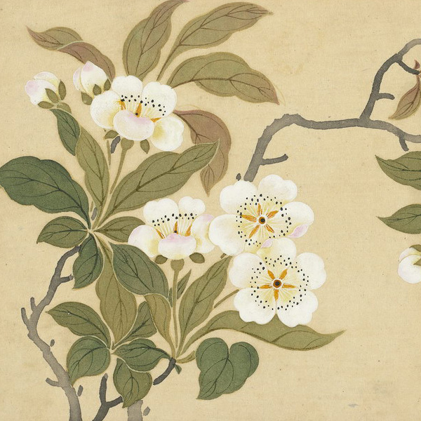 植物画